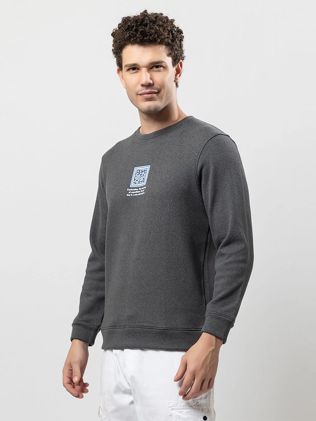 Men's Solid Graphic Sweatshirt - Image 3
